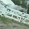 equestriangal22